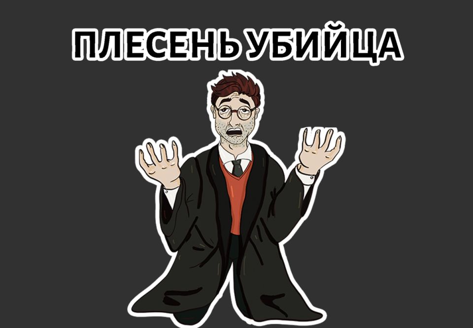 ������ ������� ������: 5 ��������� ������