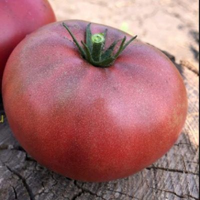 ����� � ������������� ��������: ������������ ���� ��� ������� �������