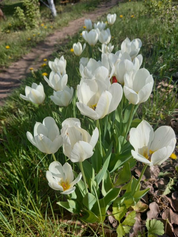 ��� ������� ������ ���������� � ������: ������ ��� ���������