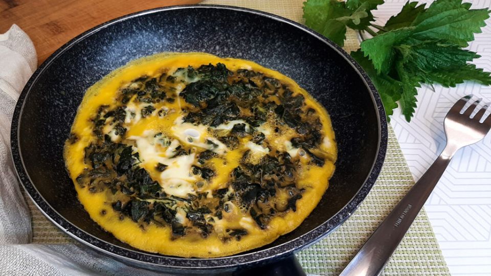 ���������� ����: � ��� ����� �������� �������?