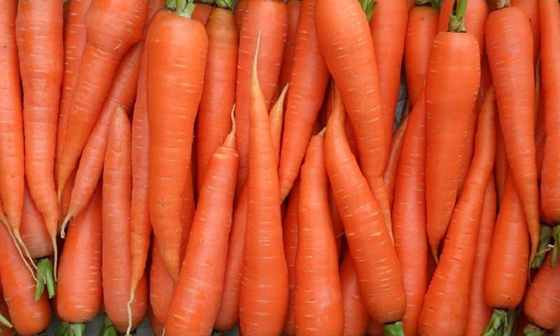 ������� �� �������: ��� �������� ��� ������ � ������������ ��������