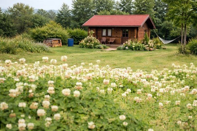 ���-10 ����������� ������ ��� ������ �������: ������ ���� ��� �������� �������� ������