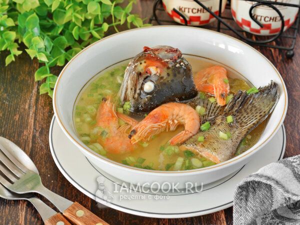 Уха и рыбный суп: как различить два близких блюда и зачем это понимать