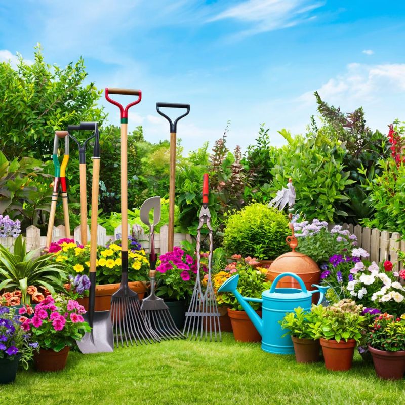 ��������� �������: 10 ��������� ��� ������������ �����