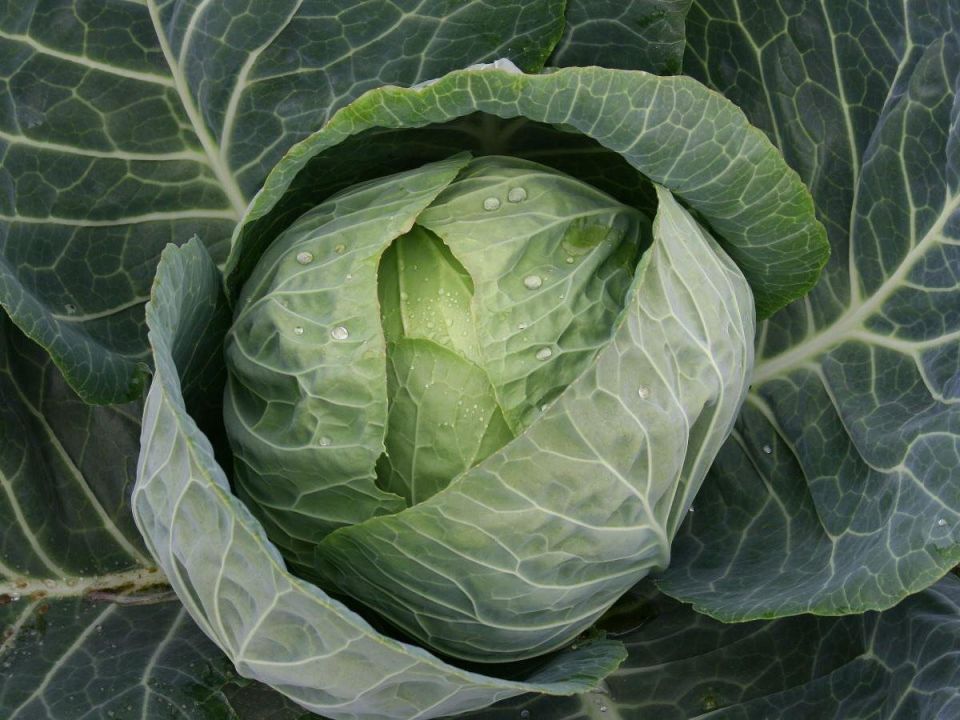 ������� ���������� �� ��������, � � ������� ����� � ������ ��������� ������