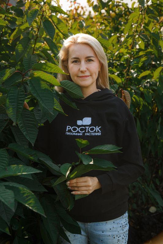 ������� �� �����: ��� ��������� �������� ������ � ������� �������