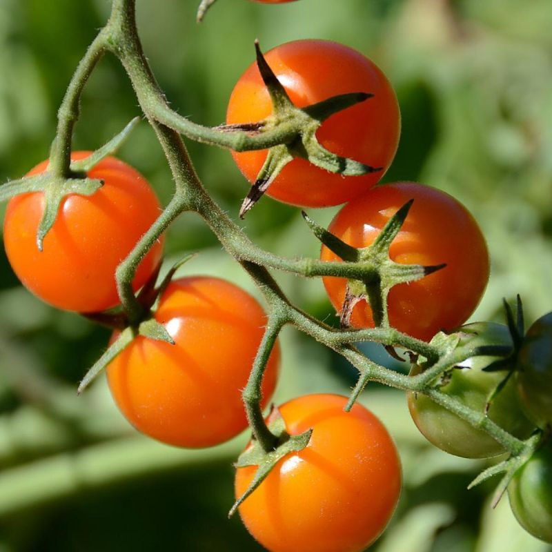 ��� ��������� ������ ����� � ����� � �������� ��������