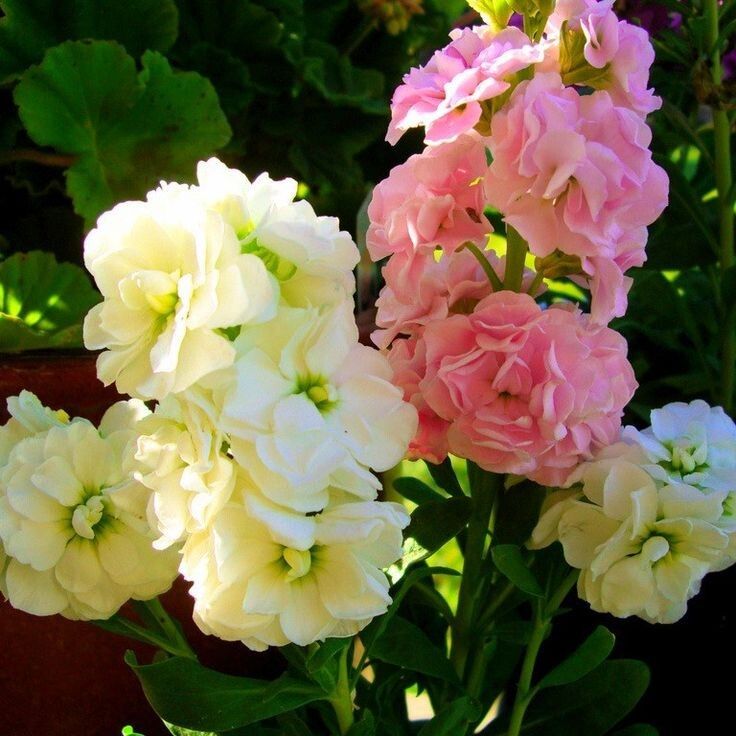 �����, ������� ������ ���� ��� ���� � ���� �����