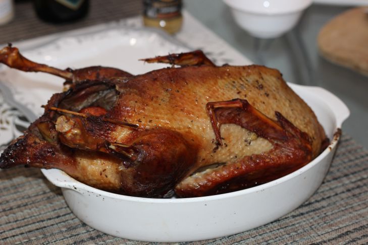 ���-5 �������� ����������� �����, � ������� �������� ������ ��������� ��������������