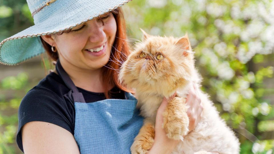 Обязательно подготовьте кошку к поездке на дачу: ветеринар дал дельный совет