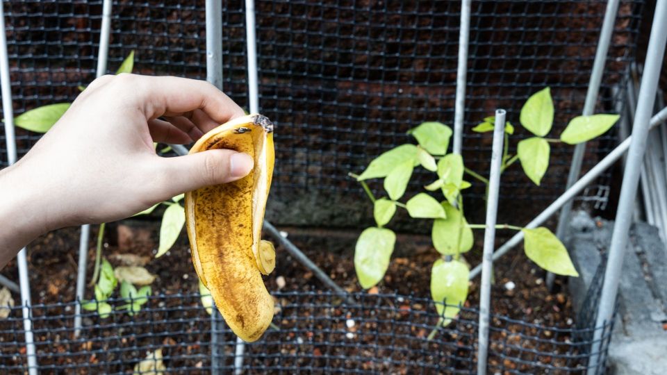 ��������� �������: �� ��������� ������ ��������� ������������� ��������� ��� ������� ���