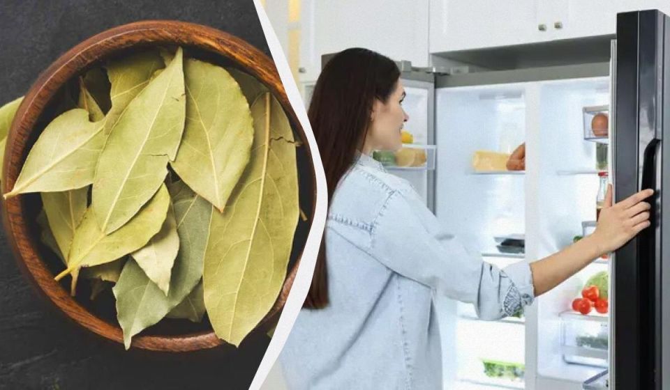 ������������ ������ ������������� ��������� ����� �� �����: ��� ���������� �� ������� � ���������