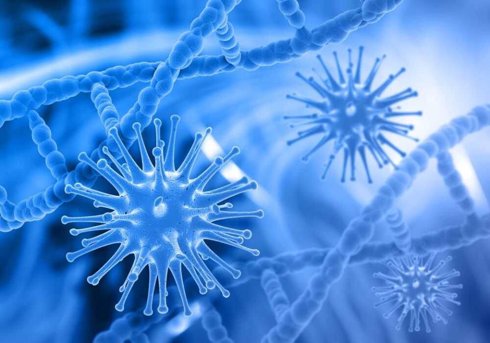 ��� �������� ���� �������� �� ��������: ������ �� �����������