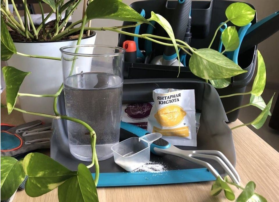 �������� �������: ������ ��������� ����� ��������