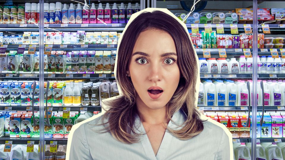 ������������� ��� ��������: ��� ������ ������������ �������� ����� �� ����������