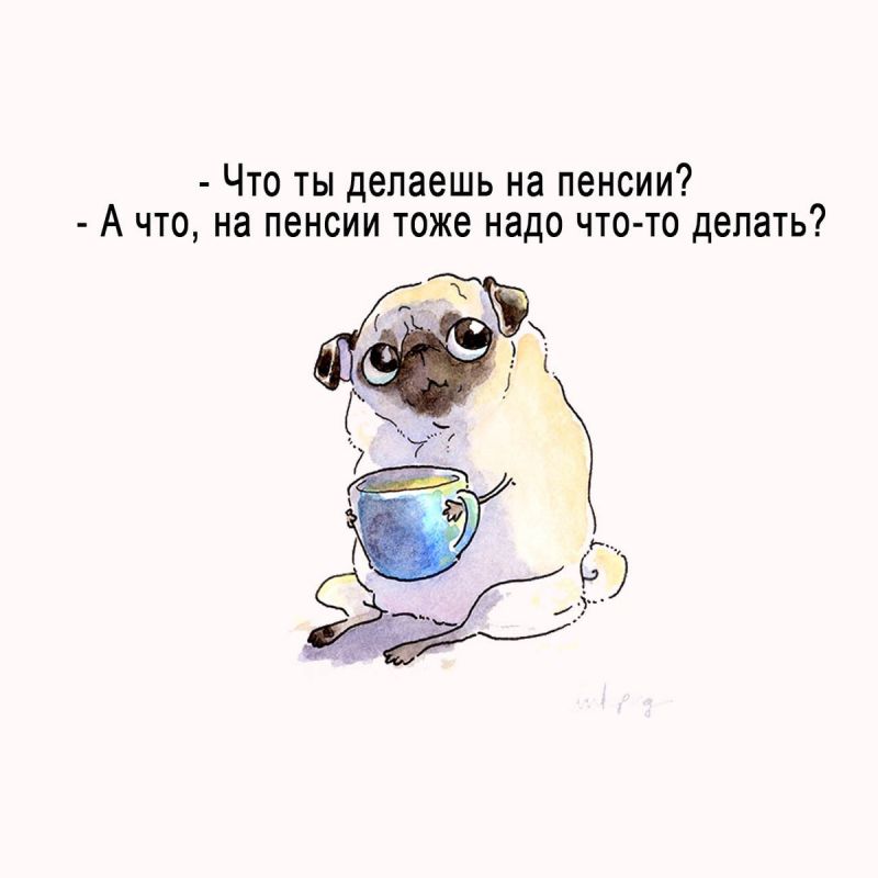 ��� ������� ���� �� ������ ����: ��������� ��������