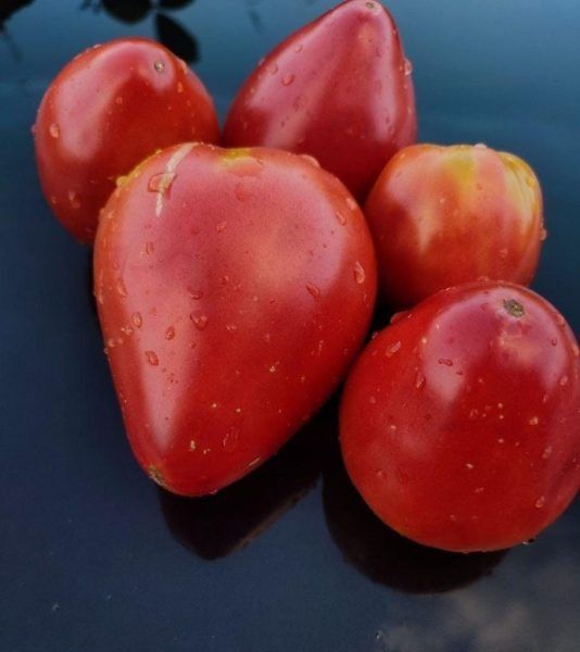 ����� ����������� ����� ����: ��������� ����� � ����� ���� �� ����������� ������������