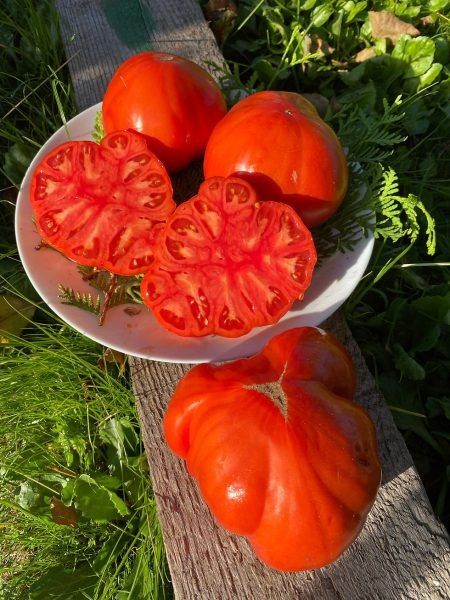 ������ ����: ��� ��������� ������-������� � ������������ ������