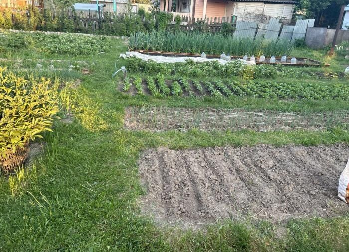 ������������ ������ �����������: ��� ����� �������� � �������