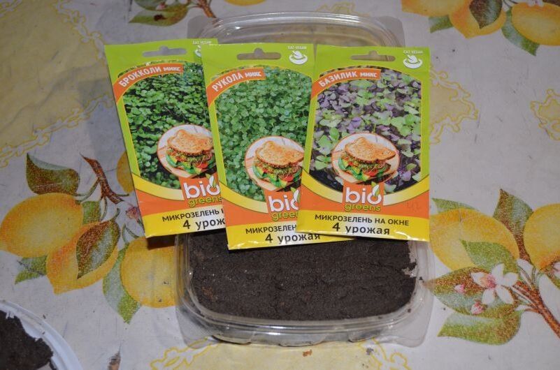 ��� ��������� ����������� �� ������: ������� � ����������� ������