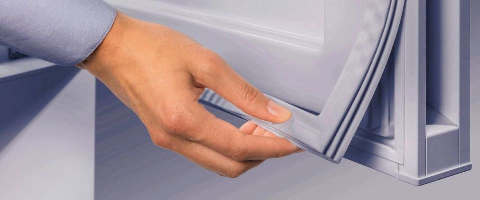 ������ ����� ���������� � ������������ ������������