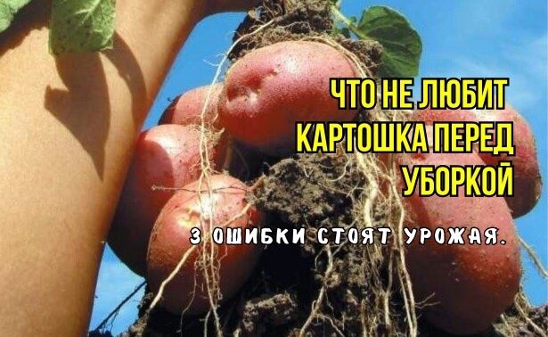 ����� ������� �������� ���������: ��� �������� ���������������� ������