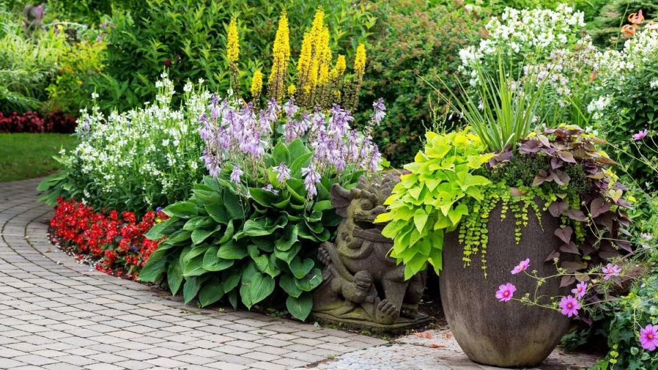 ������������� �������� ��� ����, ������� �� ����� �������