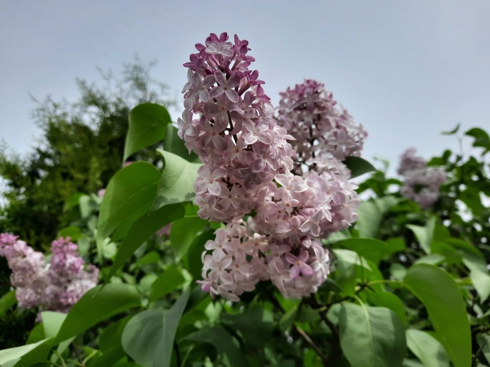 Субботний вопрос-ответ: разбираем критику и делимся опытом