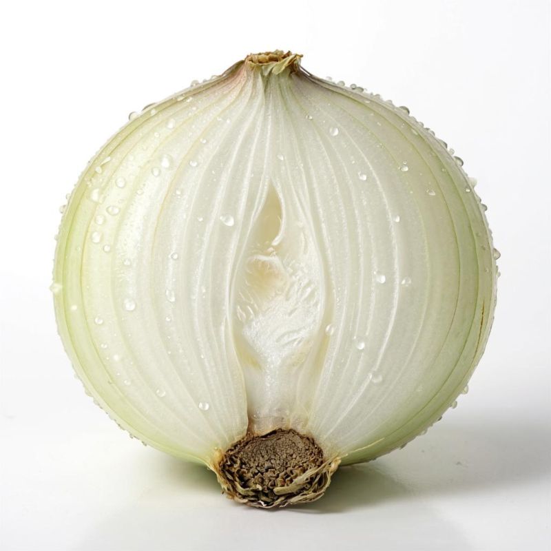 ������� ����� ����: ��� �������� �������������