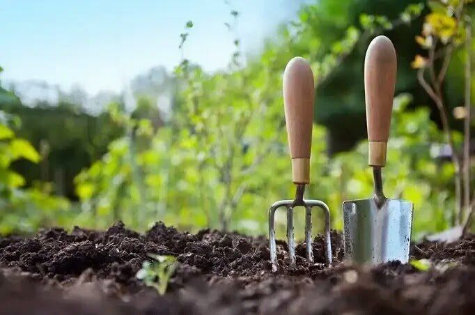 ���������� ���������: ��� ���������, ������� ����� ��������� ����� ���������