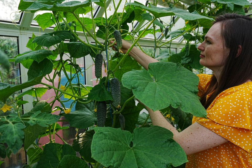 ��� ��������� ����������� ������ � ������� ��� ������� ������