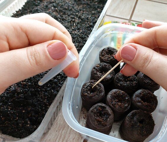 ��� ��������� ������ ������� �� ������� � �������