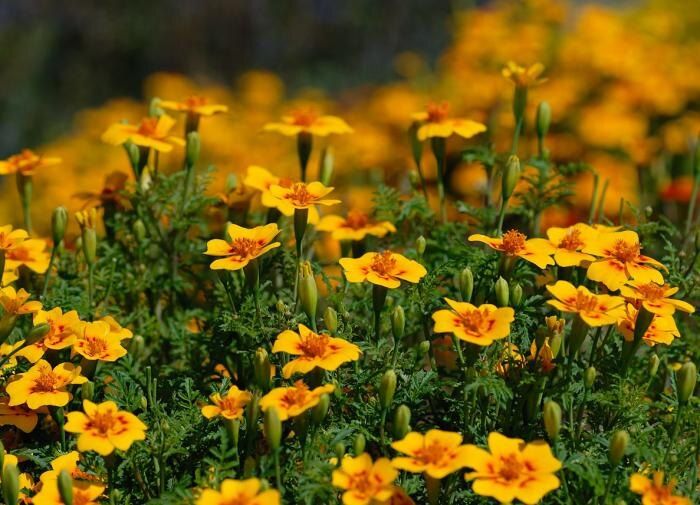 ��� ������� �������� ����� � ������������� �� ����� �������