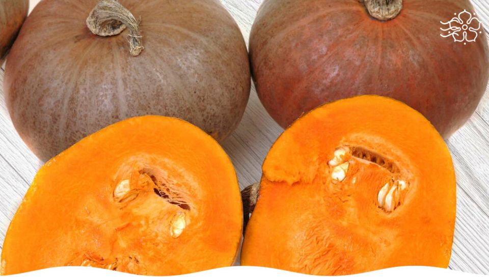 ����� ���: ���� ��� ������ �����